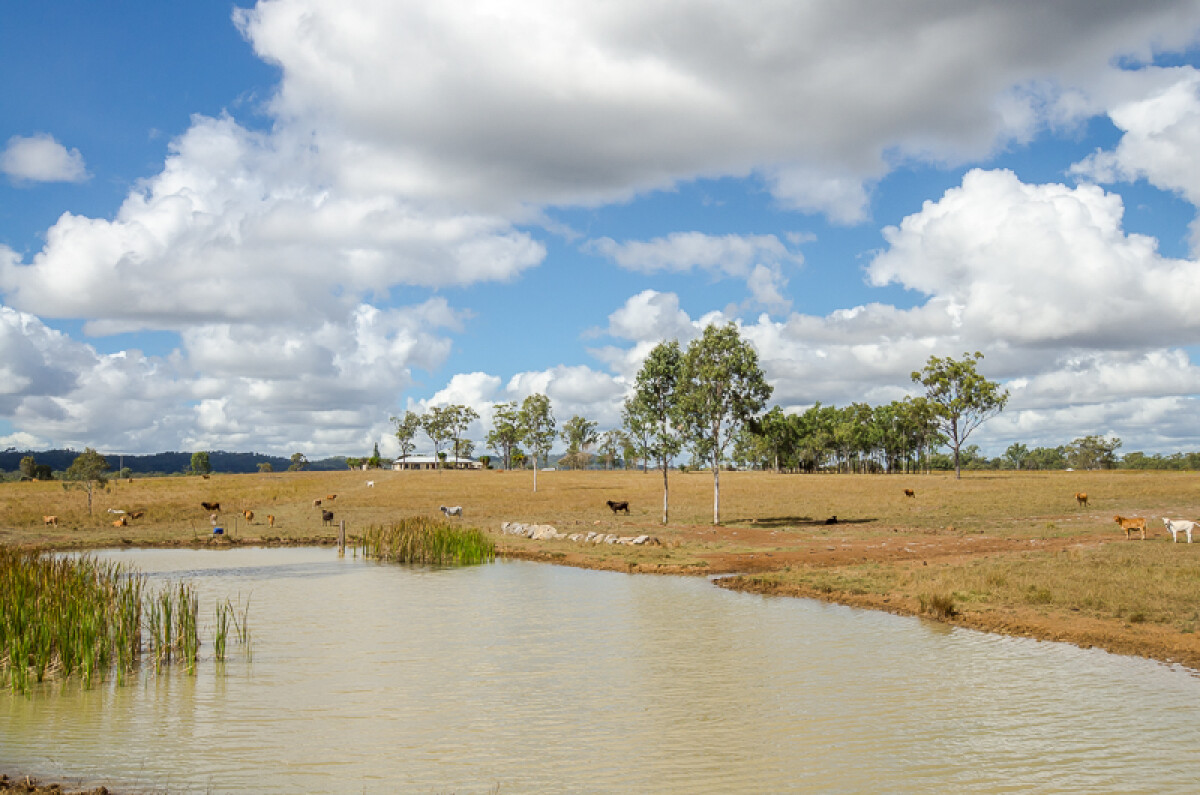 500 Calliope River Rd West Stowe Queensland for Sale RE/MAX Australia