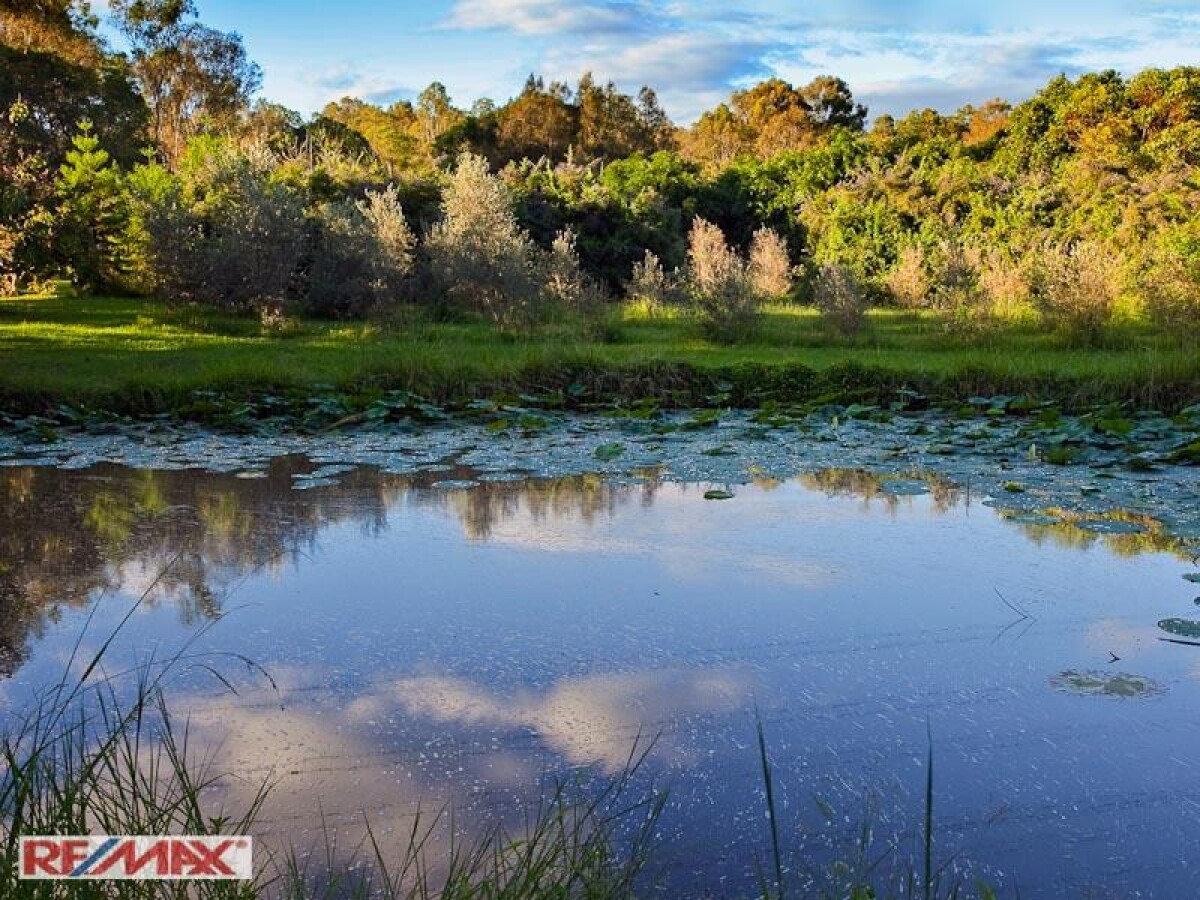 480 Mt Crosby Road Anstead Queensland House for Sale RE/MAX Australia