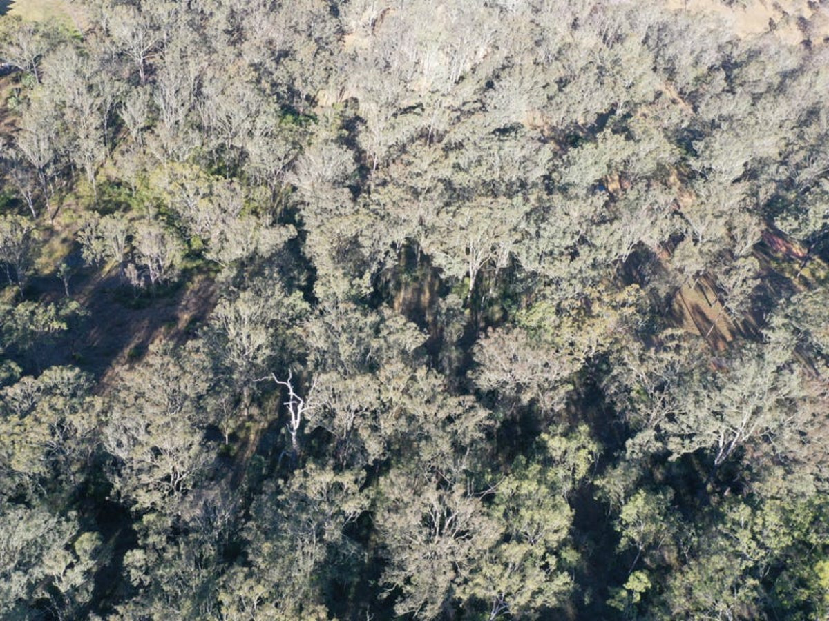 7 Nicholas Court Cooyar Queensland for Sale RE/MAX Australia