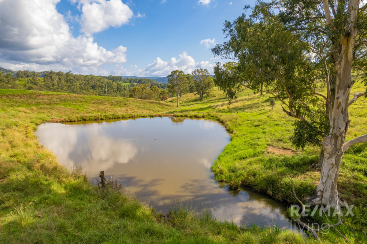 500 Newman Lane Delaneys Creek Queensland for Sale RE/MAX Australia