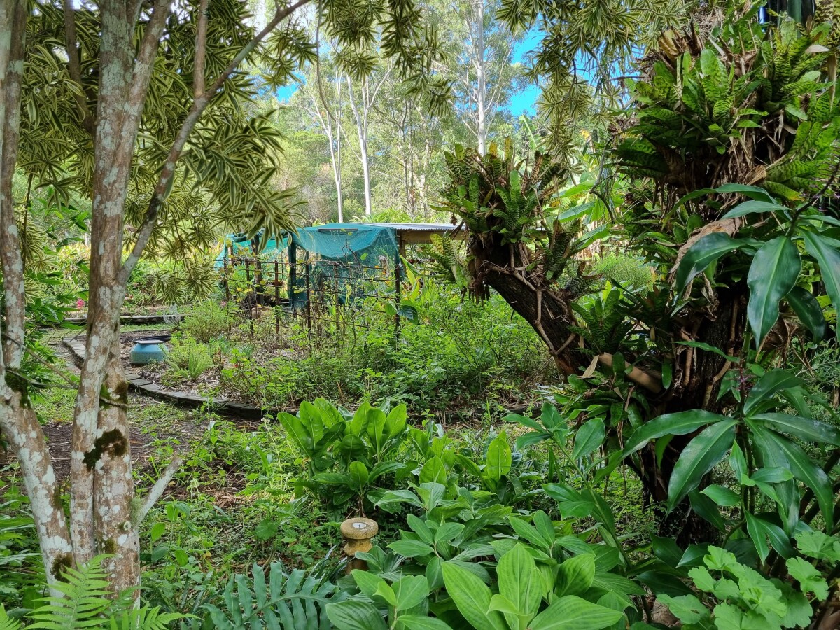 150 Collins Road Ninderry Queensland House for Sale RE/MAX Australia