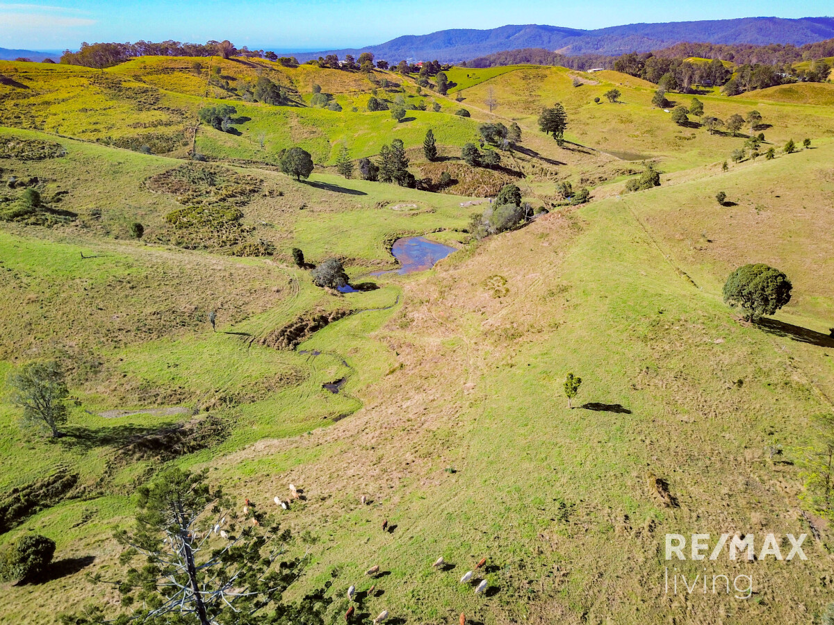 Lot 1 & 5 450 Newman Lane Delaneys Creek Queensland AcreageSemirural