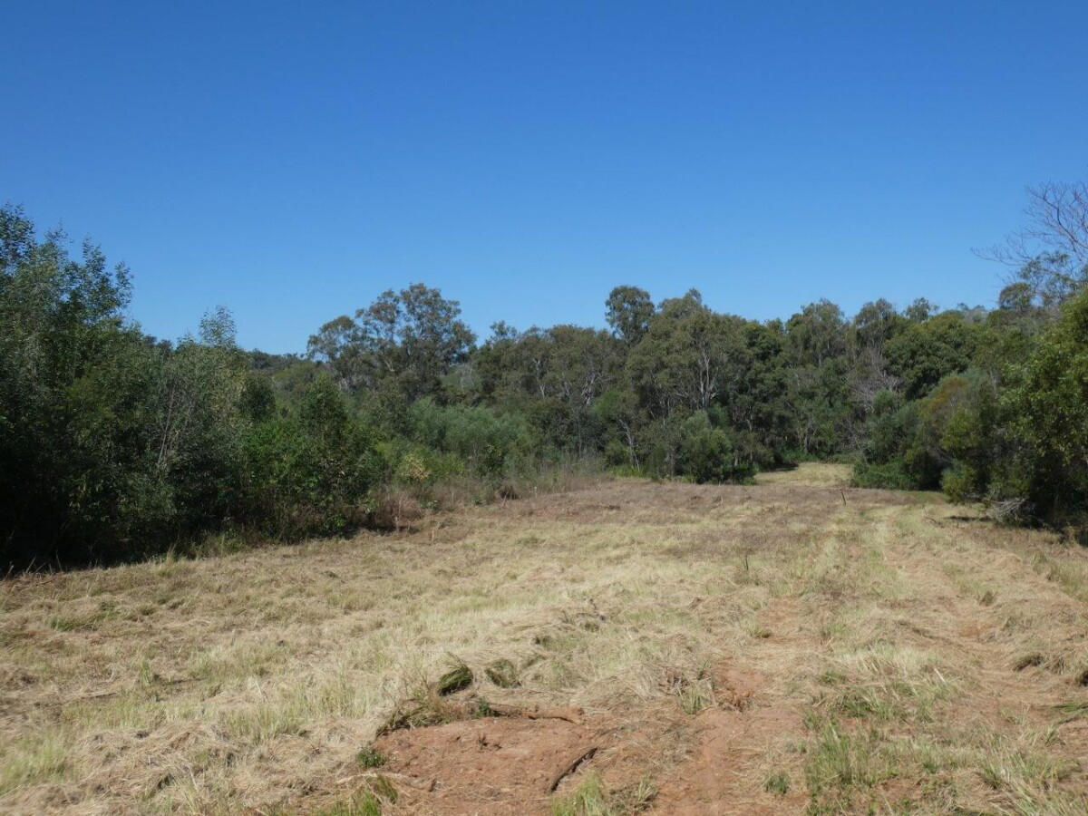 123 Waterloo Road Waterloo Queensland for Sale RE/MAX Australia