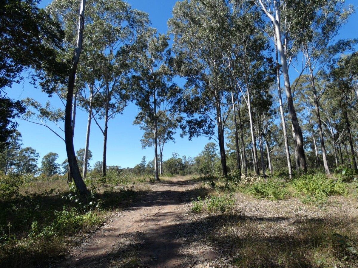 2511 Lowmead Road Lowmead Queensland for Sale RE/MAX Australia