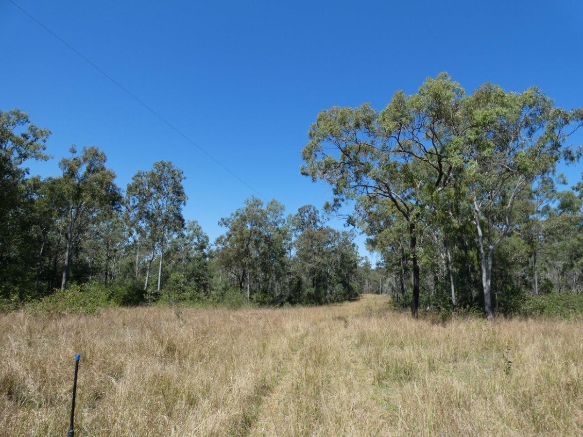 344 Wills Road Rosedale Queensland for Sale RE/MAX Australia