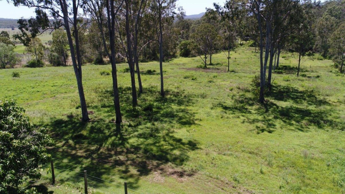 19 Claytons Road Lowmead Queensland for Sale RE/MAX Australia