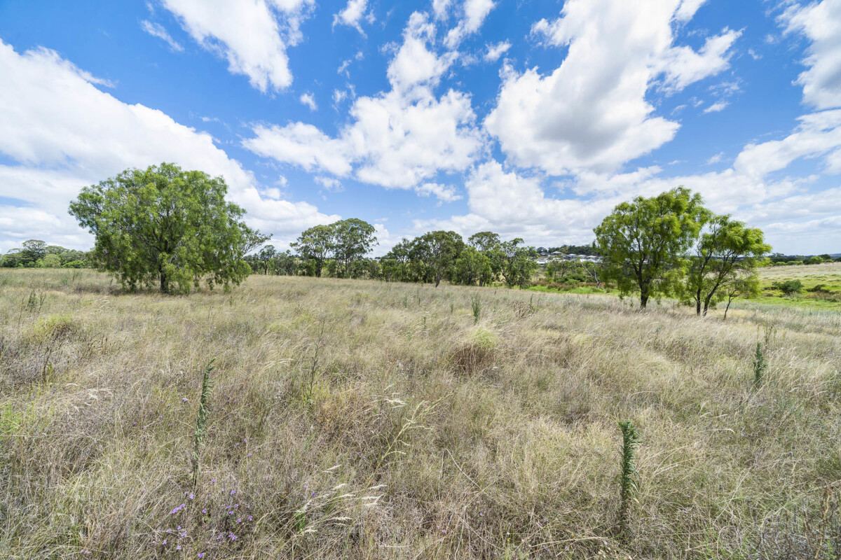 424430 McDougall Street Glenvale Queensland House for Sale RE/MAX