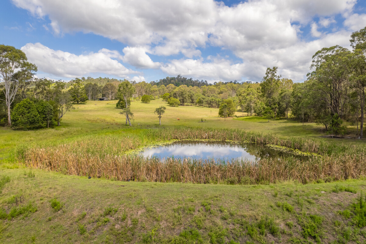 5082 Dwane Road Delaneys Creek Queensland AcreageSemirural for Sale