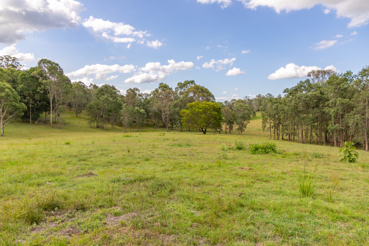 5082 Dwane Road Delaneys Creek Queensland AcreageSemirural for Sale
